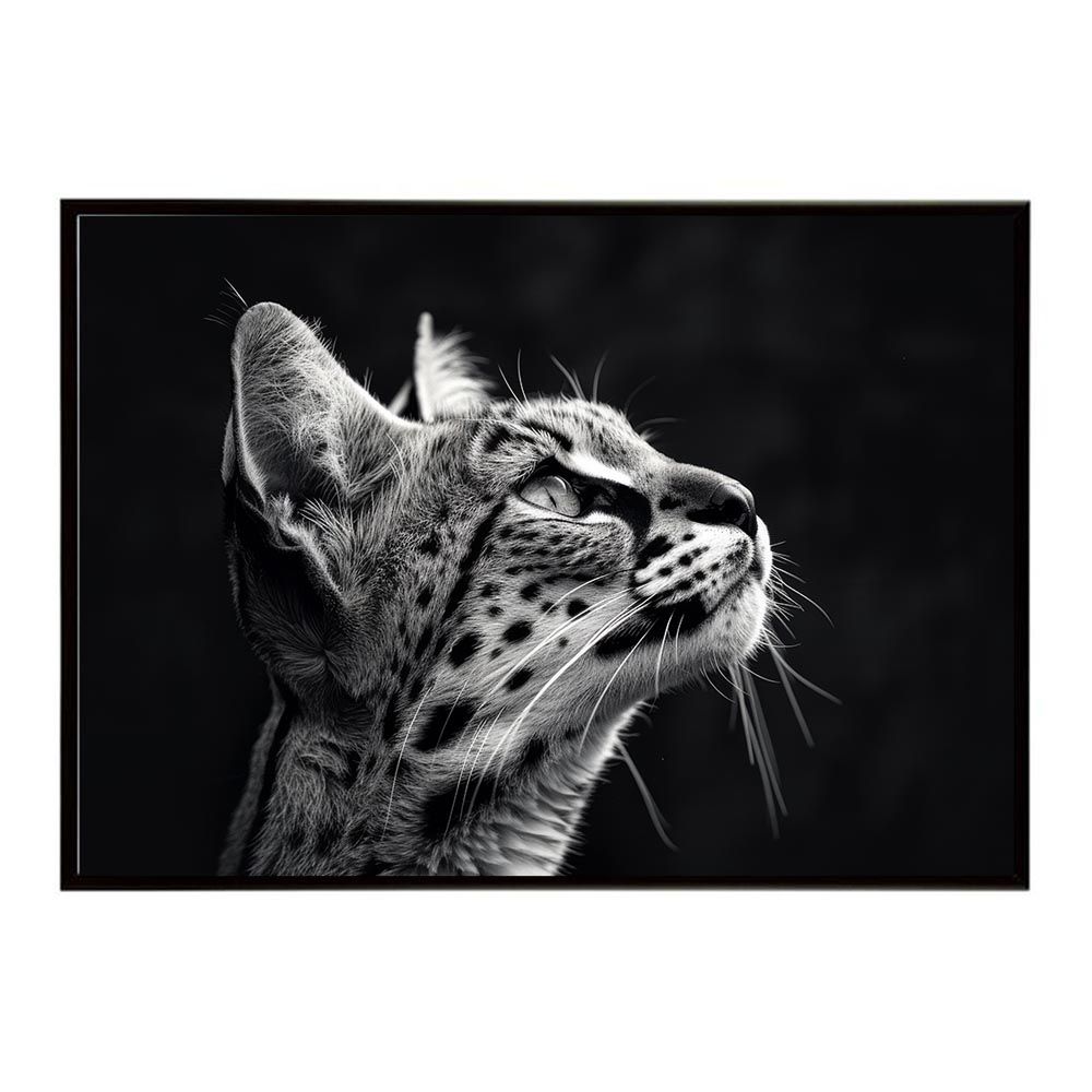 新品◇限定品◇2025年◇ピンGONE FISHINGCB-N2505 ホワイト