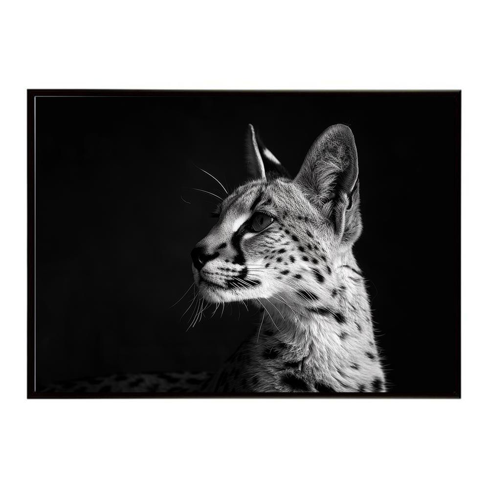 【B2サイズ（約51x73cm）】【lh-poster-6971】Serval サーバル サーバルキャット サバンナ アフリカ 草原 自然 ネイチャー 動物 アニマル 野生動物 写真 猫ポスター インテリア フォト
