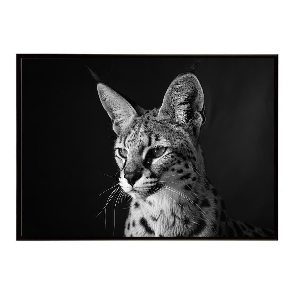 RINCON シーガル 赤/青 膝パッド付き