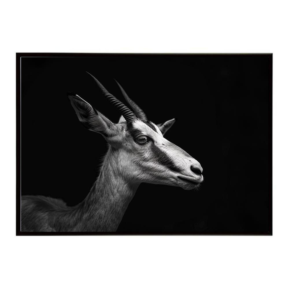 A2サイズ（約42x59cm）】【lh-poster-6983】Springbok スプリング