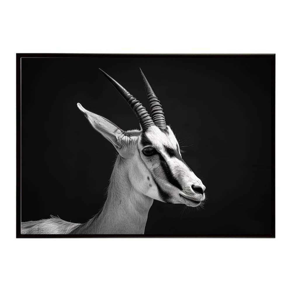 【A2サイズ（約42x59cm）】【lh-poster-6986】Springbok スプリングボック アンテロープ サバンナ アフリカ 草原 自然 ネイチャー 動物 アニマル 野生動物 写真 鹿ポスター インテリア フォト