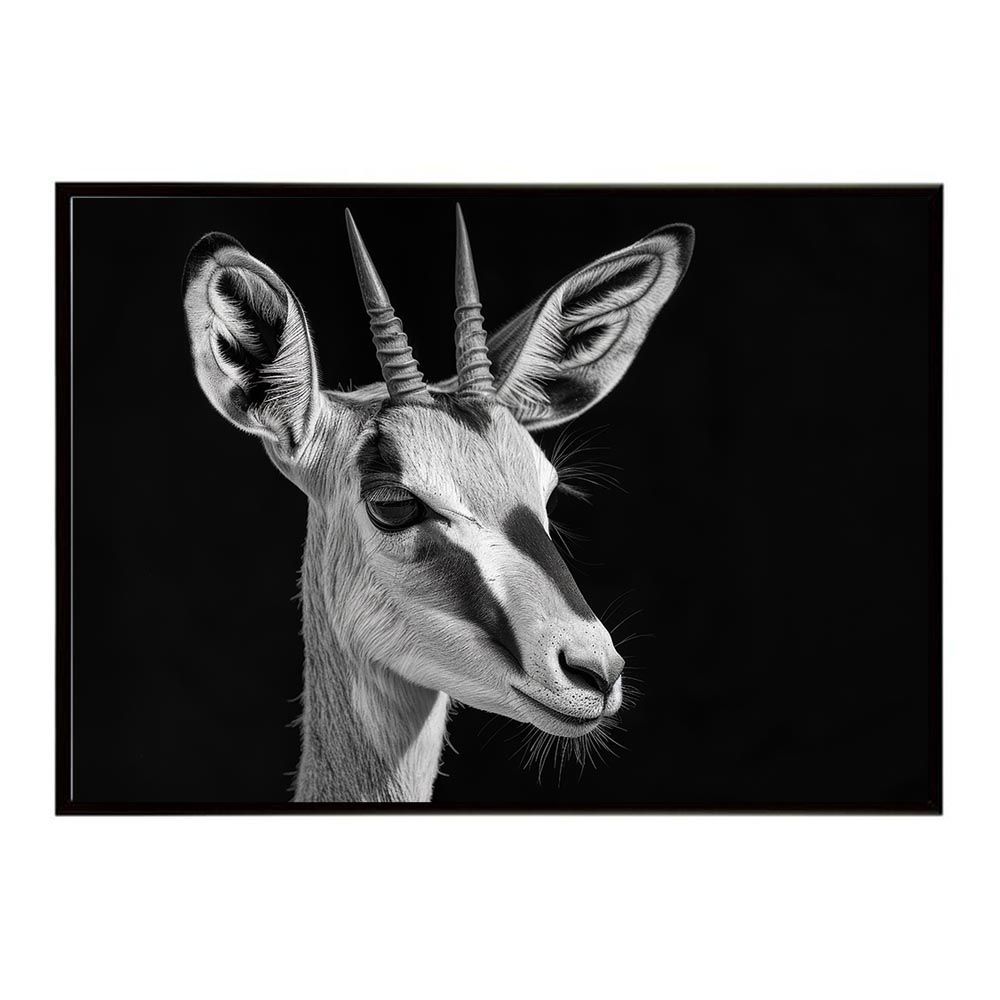 【★☆★】フォトＬサイズ スプリング B4サイズ（約25x36cm）lh-poster-6987Springbok Poster