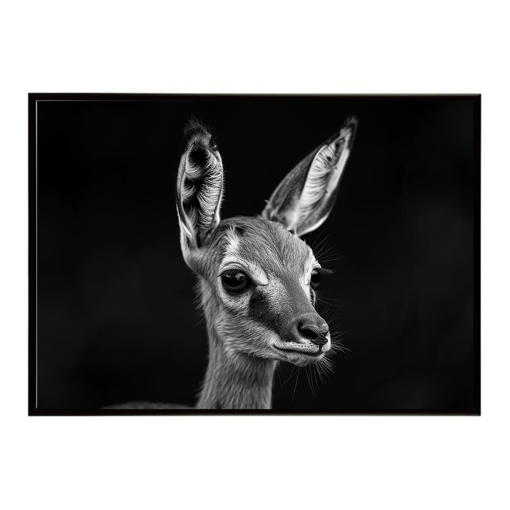 アルティメイト LIMITED SET R 限定セット オッペン OPPEN