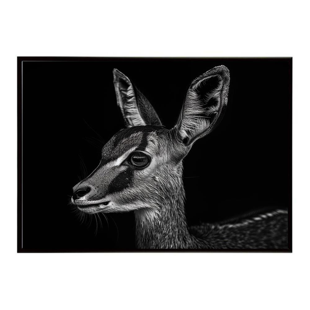 【B2サイズ（約51x73cm）】【lh-poster-6991】Steenbok スティーンボック アンテロープ サバンナ アフリカ 草原 自然 ネイチャー 動物 アニマル 野生動物 写真 鹿ポスター インテリア フォト