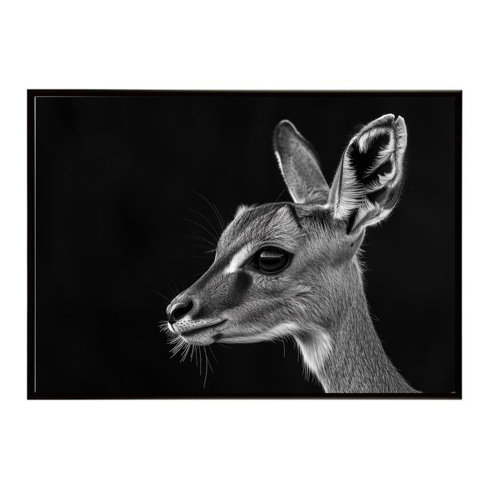 B2サイズ（約51x73cm）】【lh-poster-6705】Kudu クーズ クード