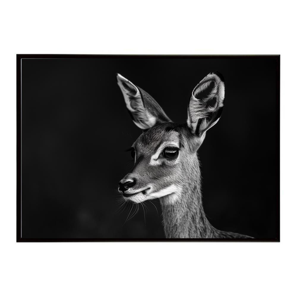 【A2サイズ（約42x59cm）】【lh-poster-7007】Steenbok スティーンボック アンテロープ サバンナ アフリカ 草原 自然 ネイチャー 動物 アニマル 野生動物 写真 鹿ポスター インテリア フォト