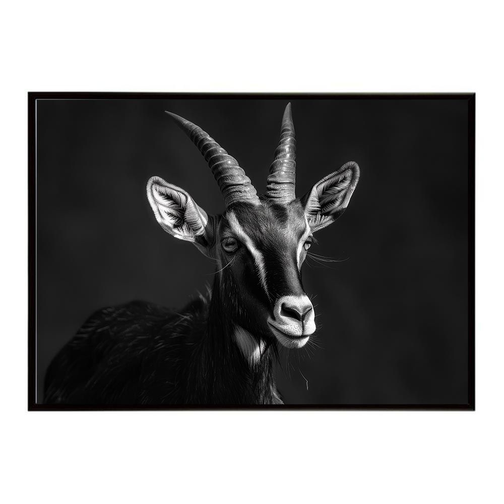 Ability Riser 美顔器 ネイビー