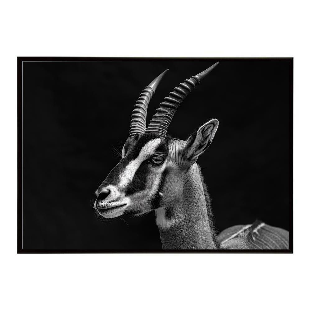 小田和正／8㎝シングルCD17枚セット（『真夏の恋』のみサイン入り