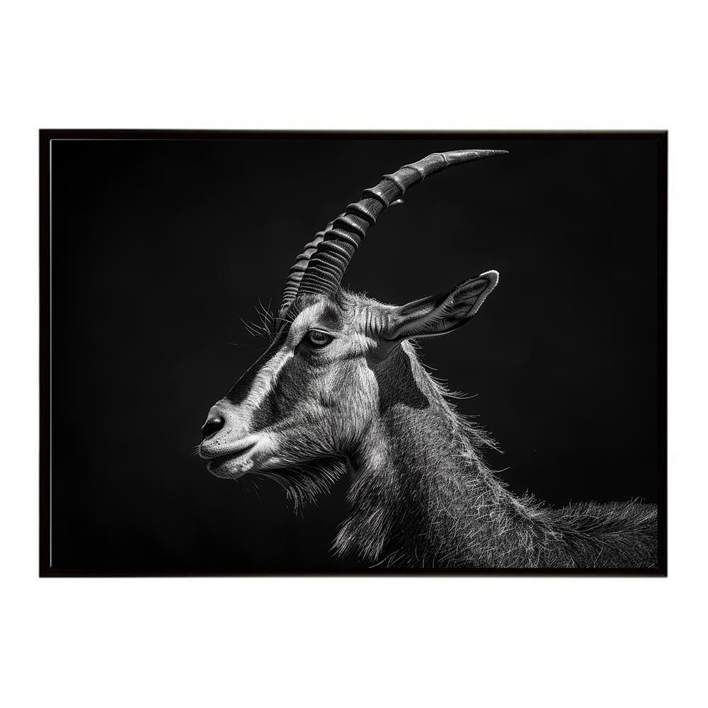 【A2サイズ（約42x59cm）】【lh-poster-7020】Topi トピ アンテロープ サバンナ アフリカ 草原 自然 ネイチャー 動物 アニマル 野生動物 写真 鹿ポスター インテリア フォト