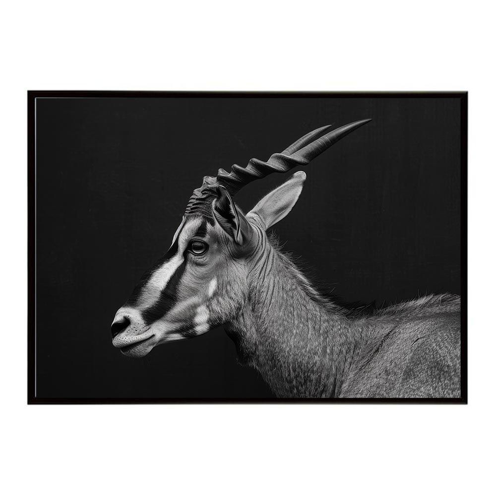 【B2サイズ（約51x73cm）】【lh-poster-7023】Topi トピ アンテロープ サバンナ アフリカ 草原 自然 ネイチャー 動物 アニマル 野生動物 写真 鹿ポスター インテリア フォト