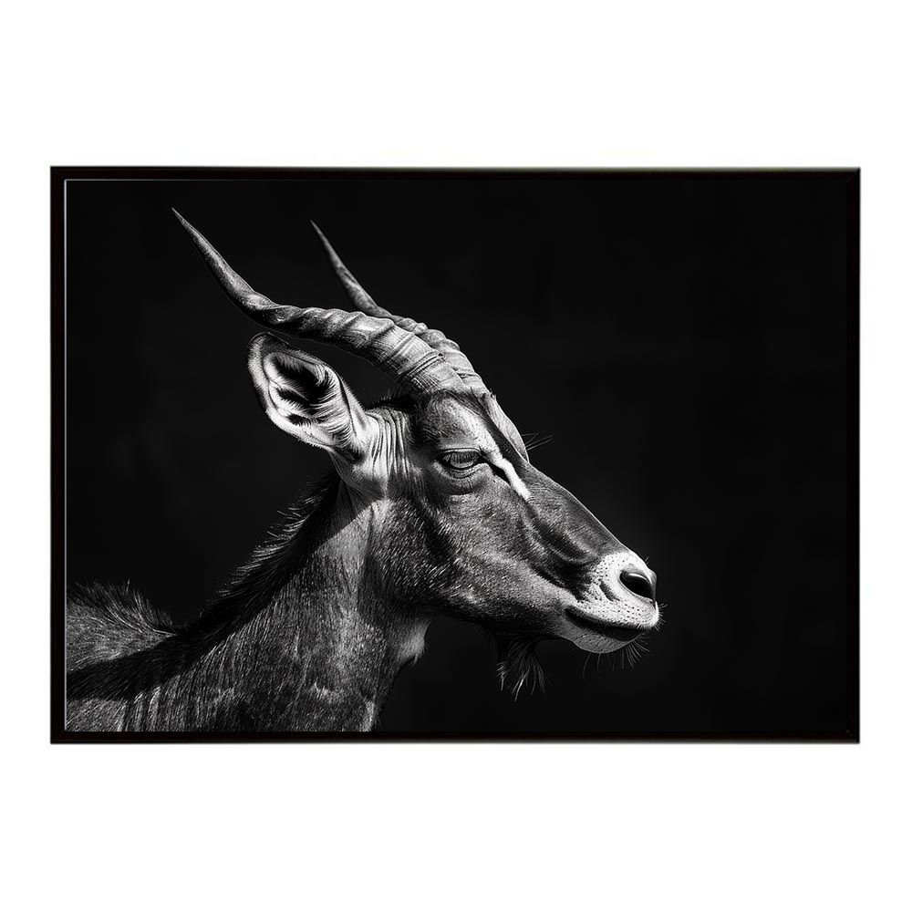 PLAYMATE solid state supernova 衝動的 東方 CD