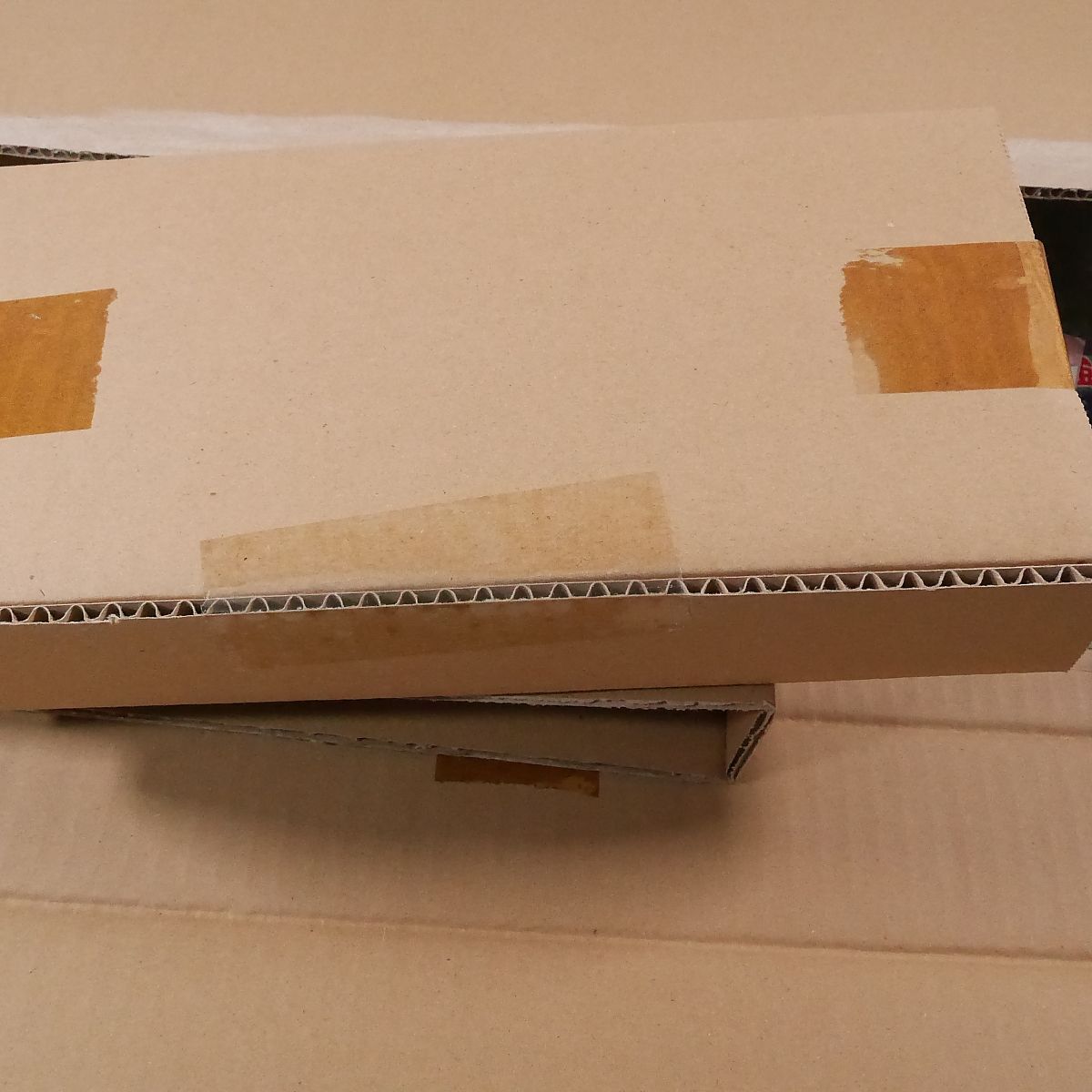 まもるクンは呪われてしまった