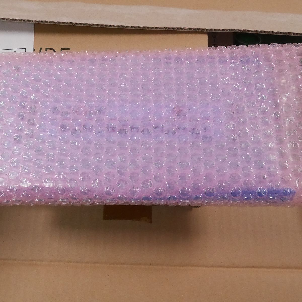 まもるクンは呪われてしまった