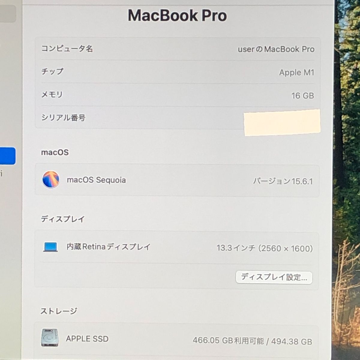 ◇ジャンク品・本体のみ◇Apple MacBook Pro (13インチ M1 2020)【M1