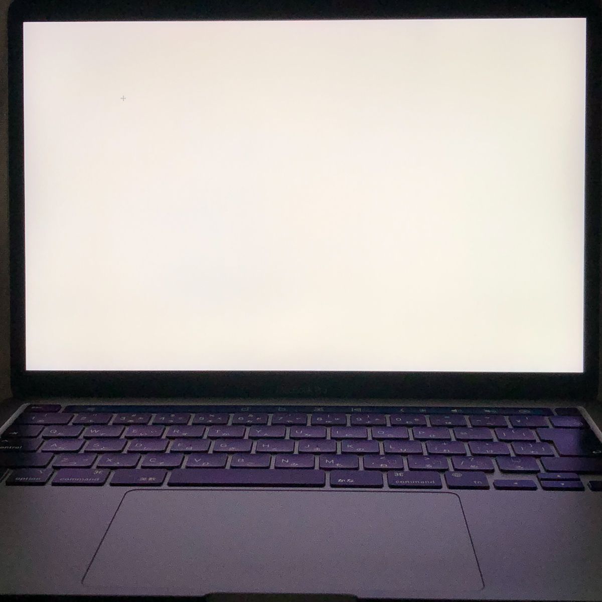 ◇ジャンク品・本体のみ◇Apple MacBook Pro (13インチ M1 2020)【M1