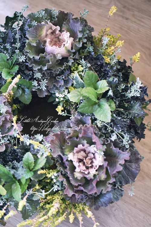 育てるアレンジメント「花柄摘み不要！フリル葉牡丹のシックなリース