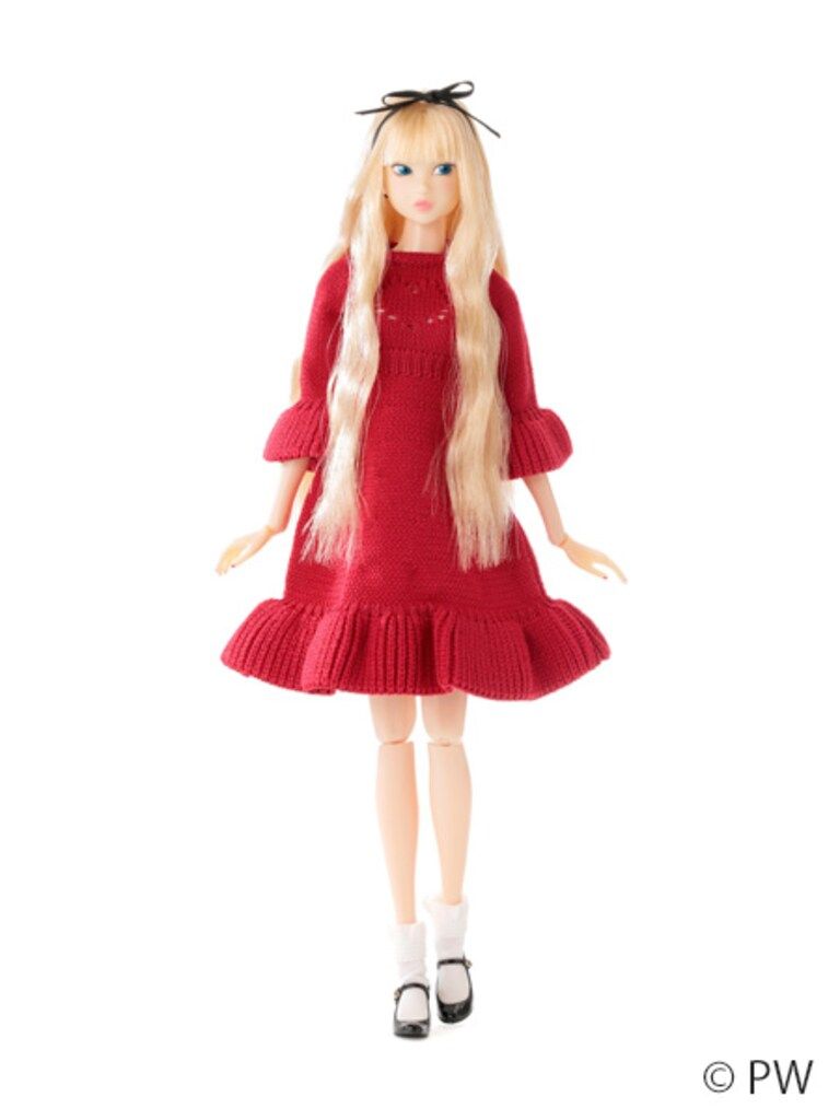 ペットワークス CCS momoko 26 VDAY