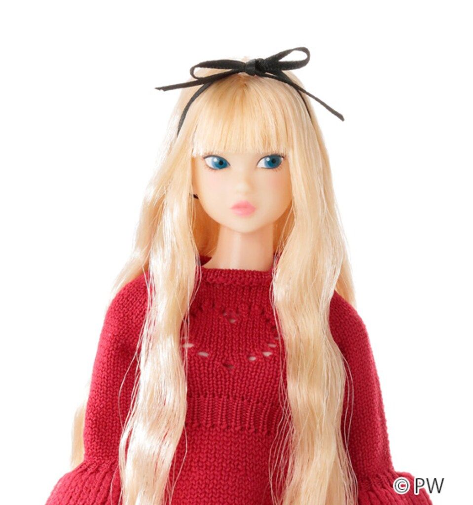 ペットワークス CCS-momoko CCS 26 VDAY