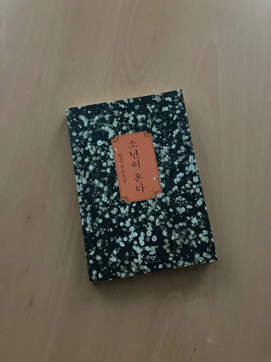 作家もの器☆藤森ちかこ☆ドット柄耳付きボウル☆カフェオレボウル