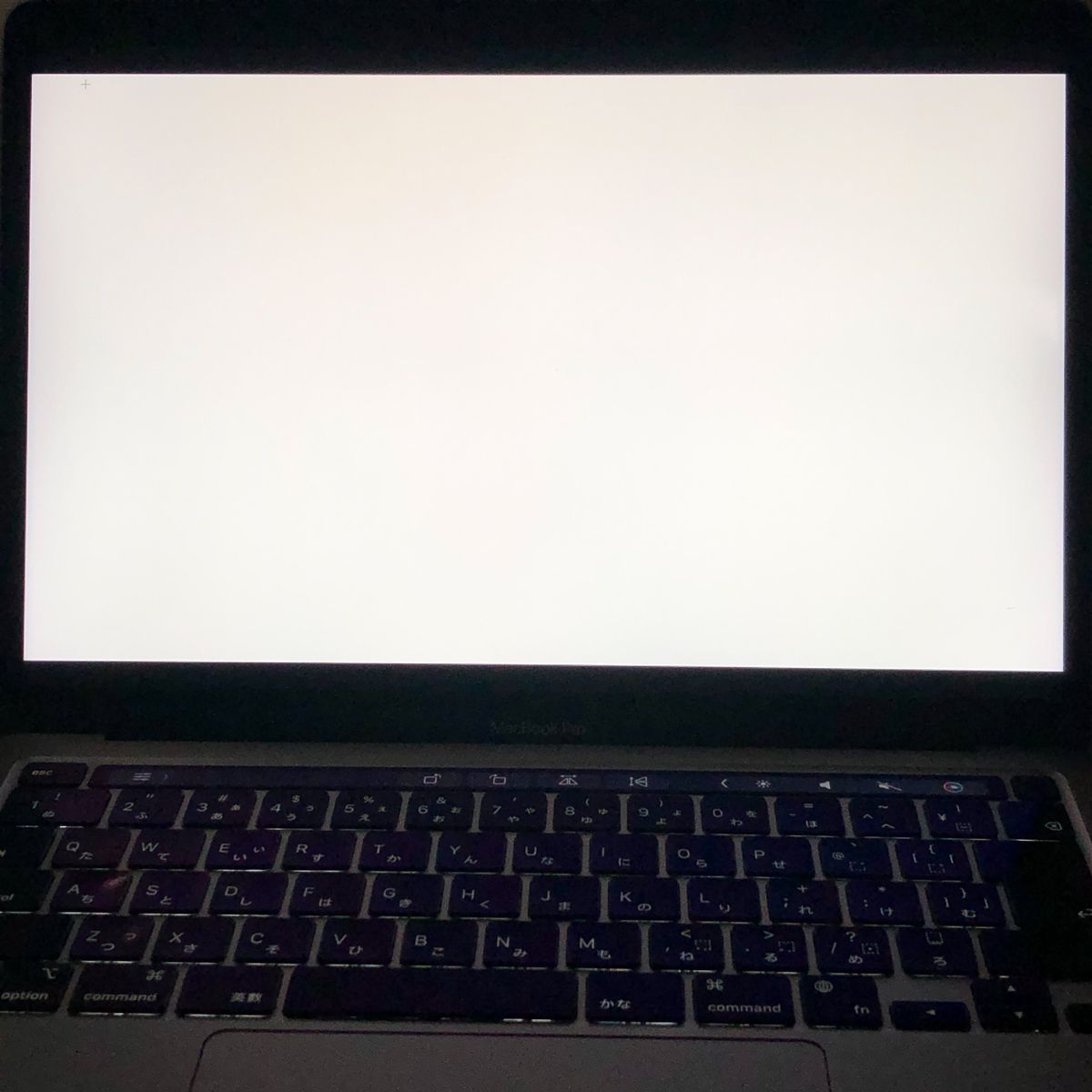 ◇ジャンク品・本体のみ◇Apple MacBook Pro (13インチ M1 2020)【M1