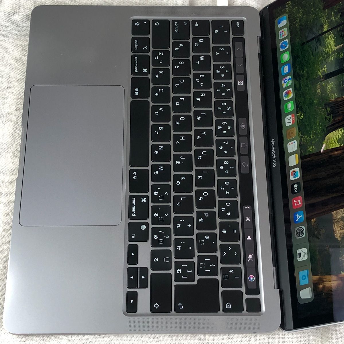 ◇ジャンク品・本体のみ◇Apple MacBook Pro (13インチ M1 2020)【M1