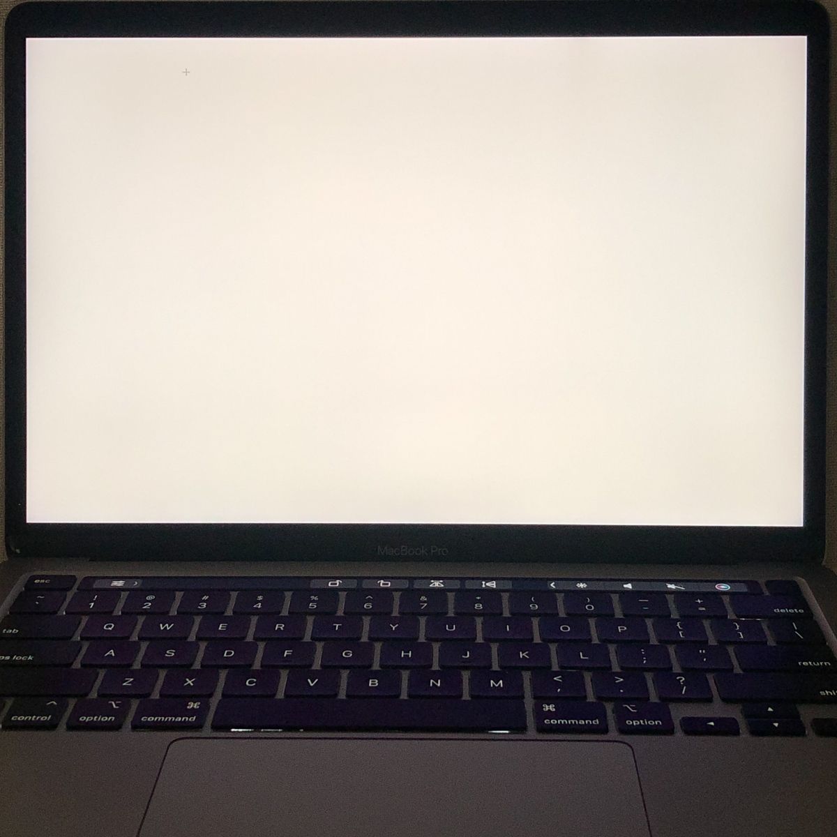 ◇ジャンク品・本体のみ◇Apple MacBook Pro (13インチ M1 2020)【M1