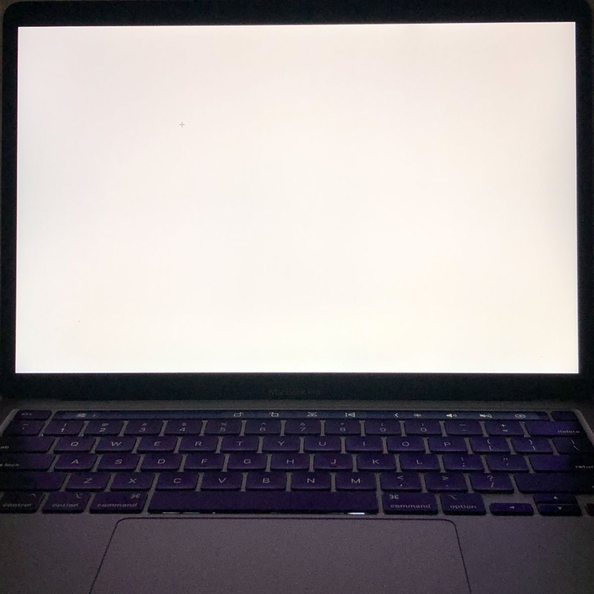 ◇ジャンク品・本体のみ◇Apple MacBook Pro (13インチ M1 2020)【M1