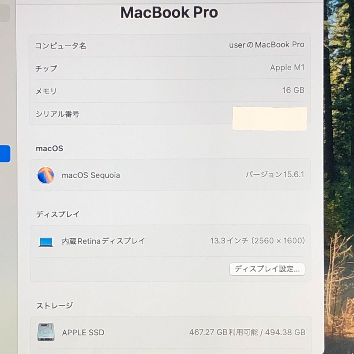 ◇ジャンク品・本体のみ◇Apple MacBook Pro (13インチ M1 2020)【M1