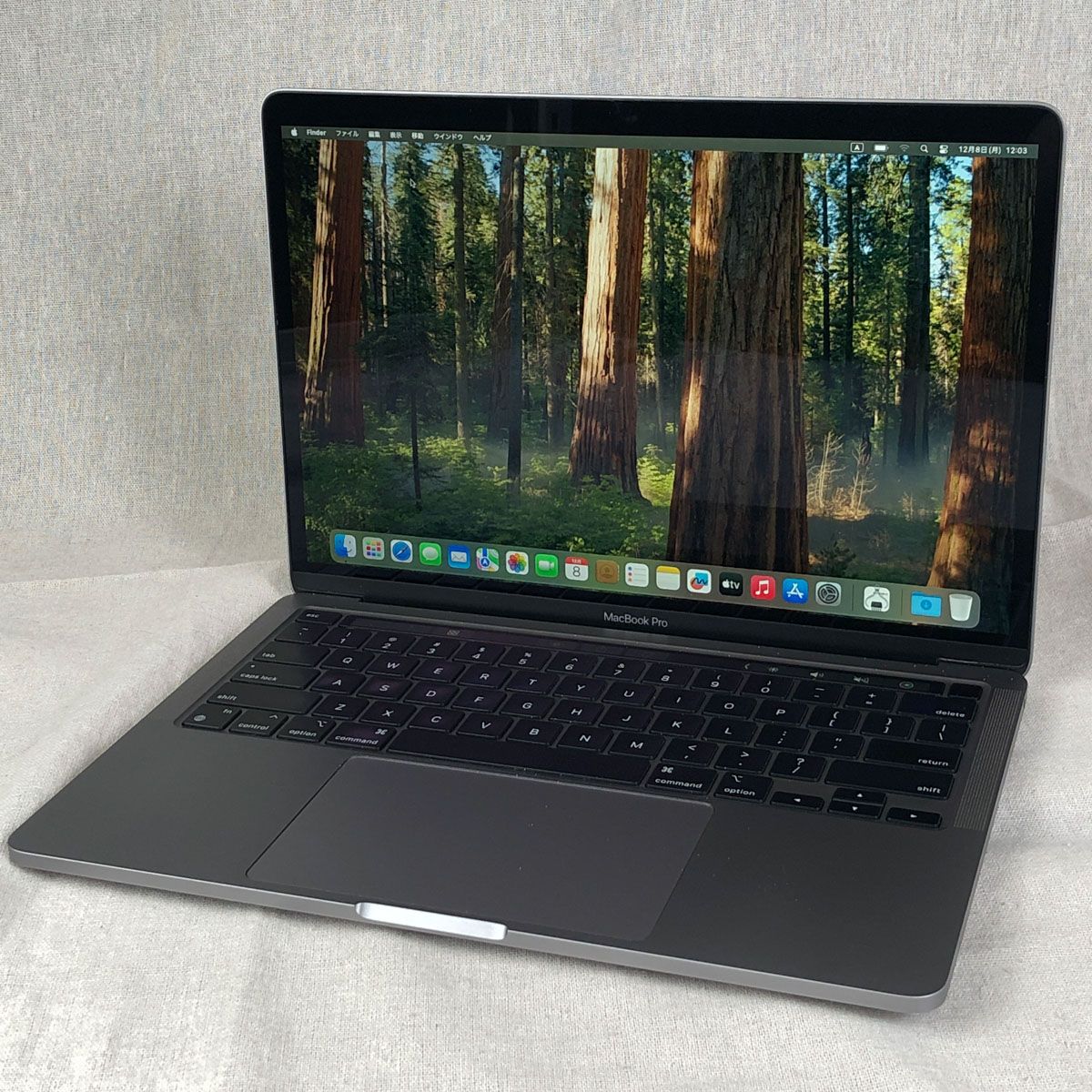 ◇ジャンク品・本体のみ◇Apple MacBook Pro (13インチ M1 2020)【M1