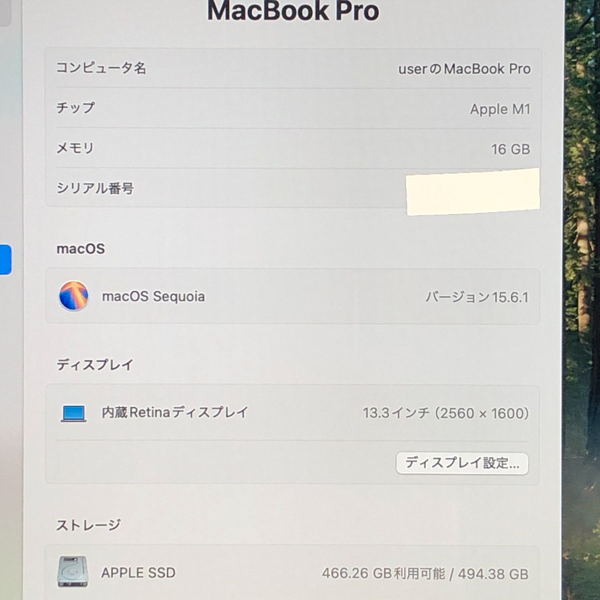 ◇ジャンク品・本体のみ◇Apple MacBook Pro (13インチ M1 2020)【M1