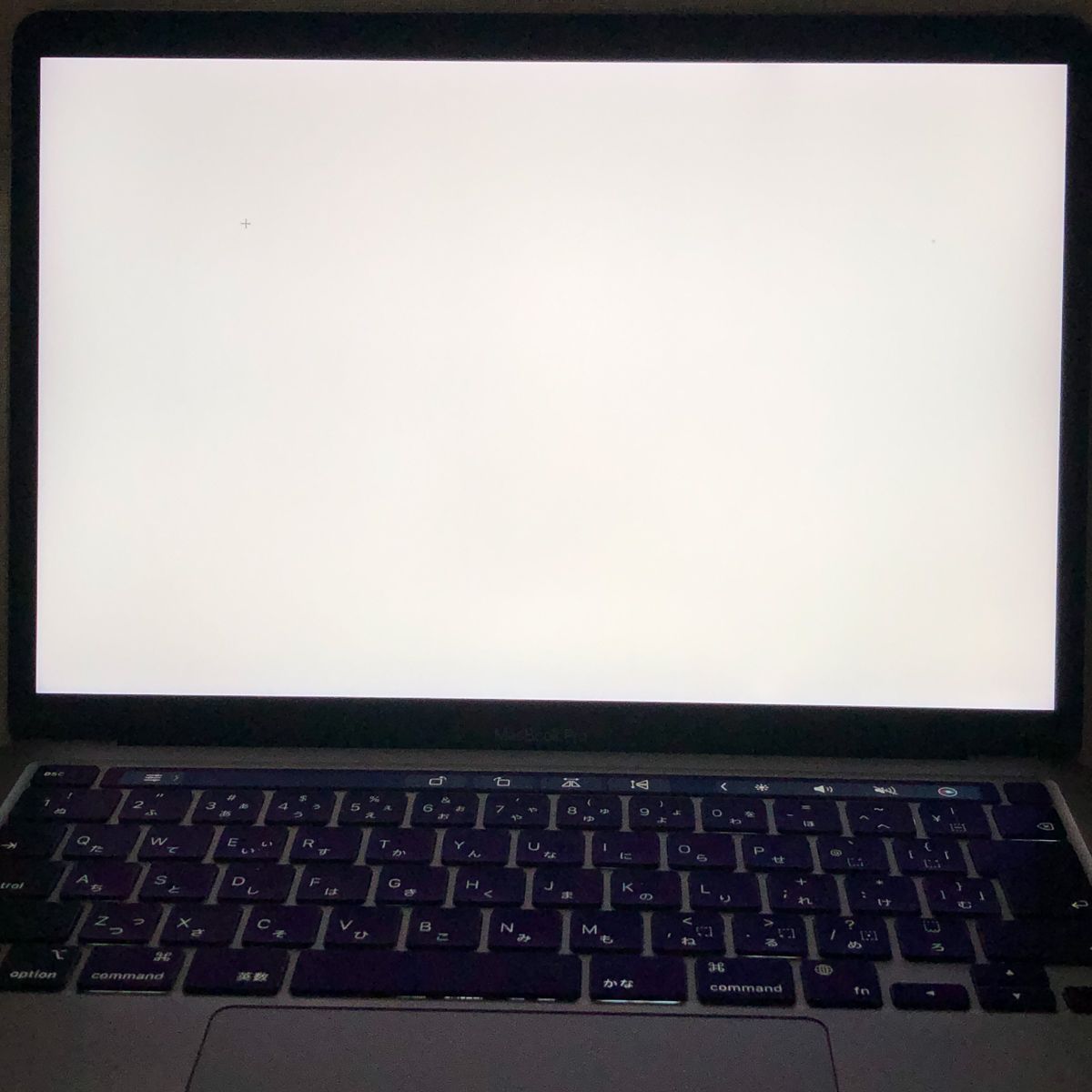 ◇ジャンク品・本体のみ◇Apple MacBook Pro (13インチ M1 2020)【M1