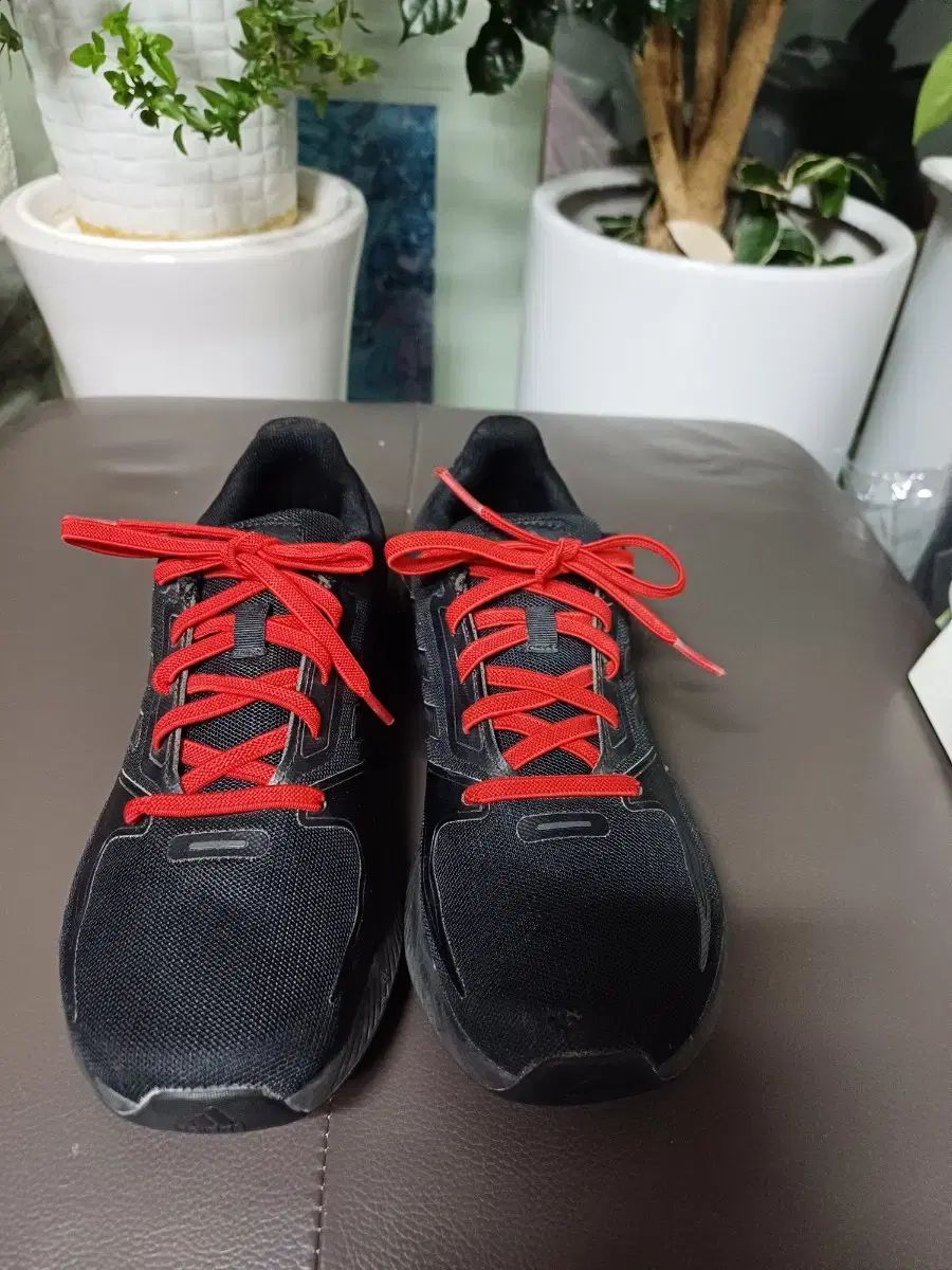 マグカップ・湯のみ(女性) 椎名林檎 カップ＆ソーサー 富嶽と女 「椎名