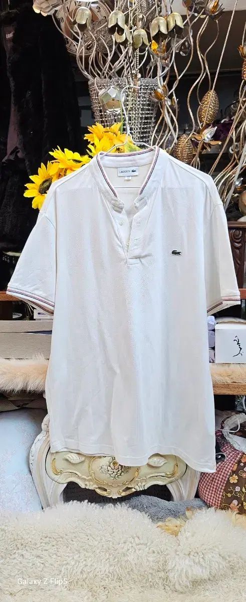 ゴルフ50倍上達法 政木ゴルフ教本 / 政木 和三 / 旺文社