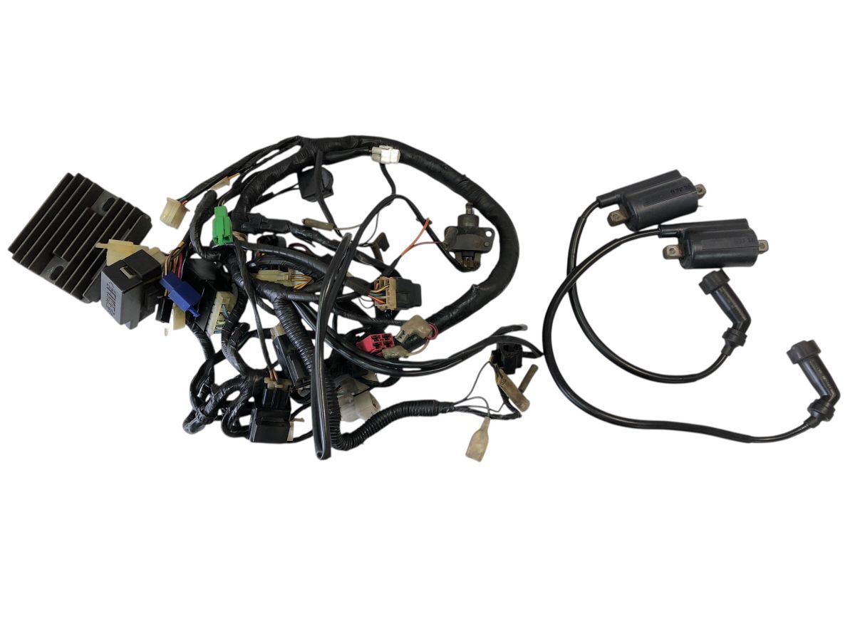 DS 250 ドラッグスター250 VG 02 J 電装セット メインハーネス レギュレーター リレー イグニッションコイル など 2815 M 8563