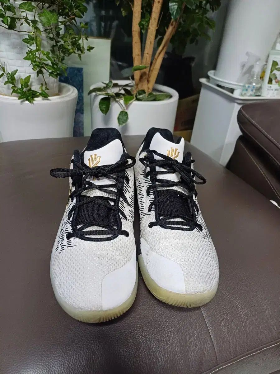 メンズ NIKE バスケシューズ スニーカー 275