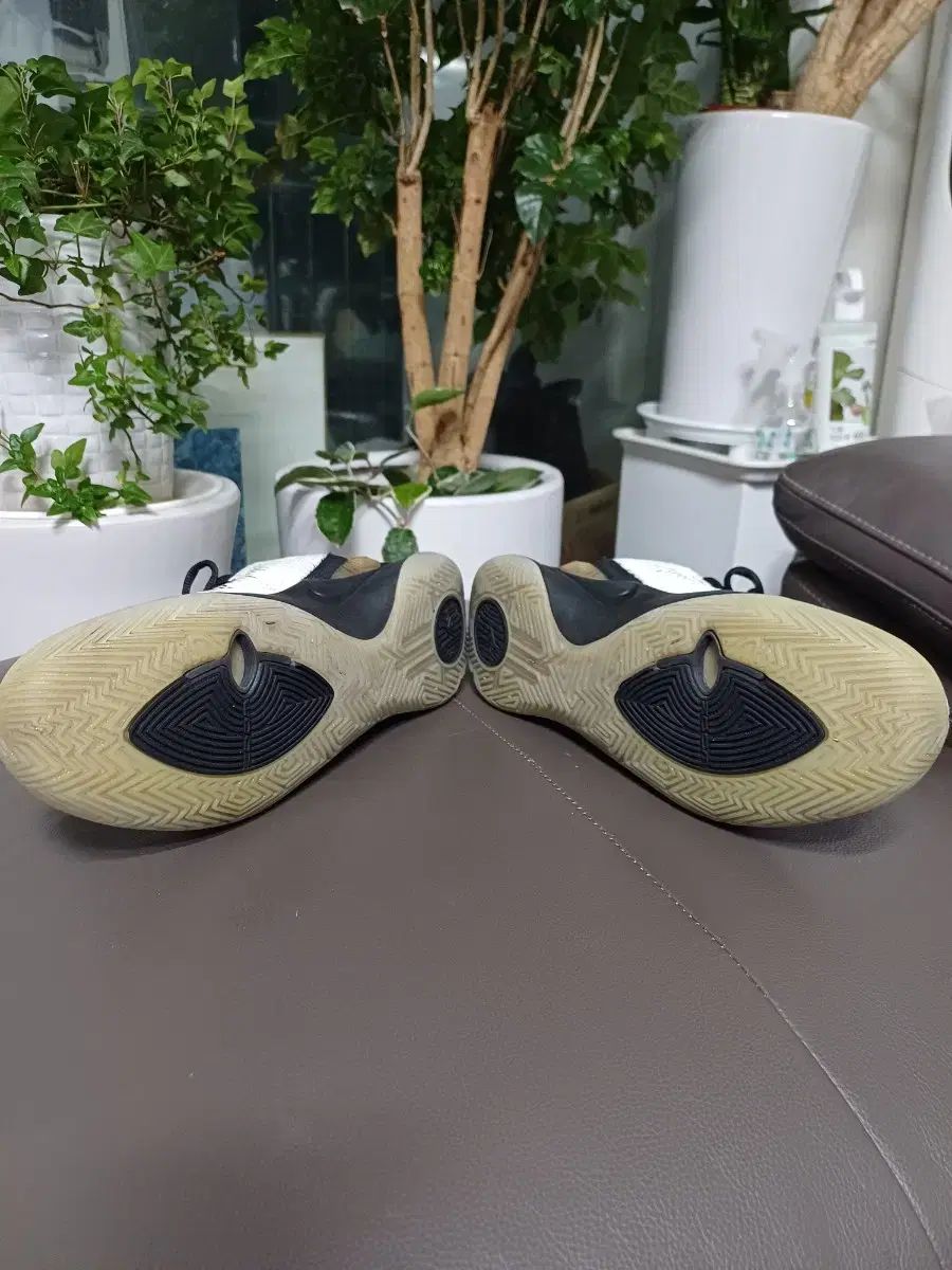 バスケシューズ