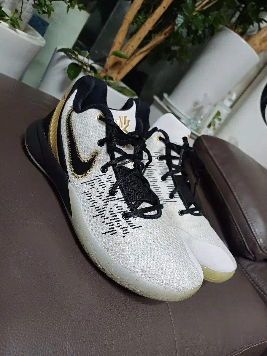 メンズ NIKE バスケシューズ スニーカー 275 シューズ(男性用) バスケットボール スポーツ