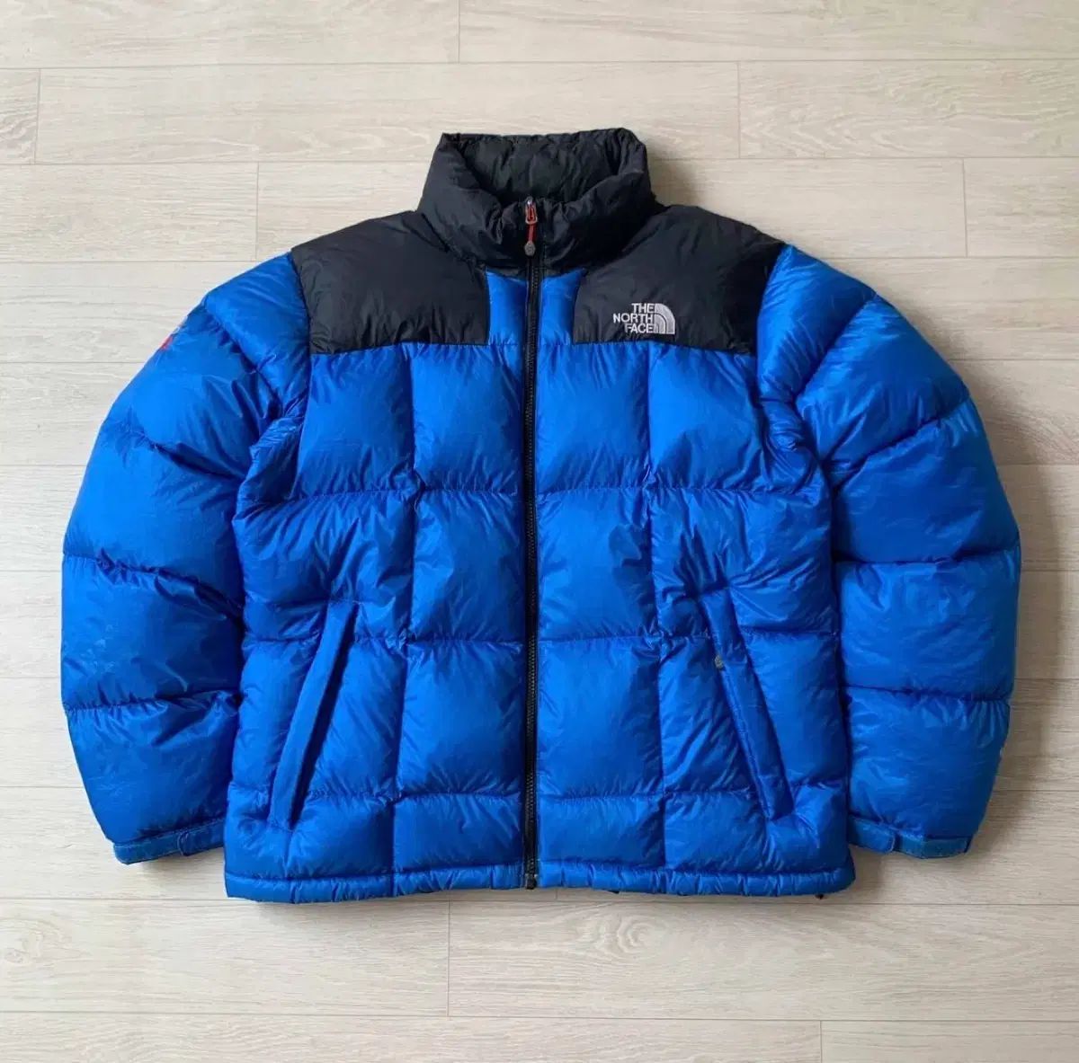 THE NORTH FACE ザノースフェイス 800 グース ダウン パディング ブルー L