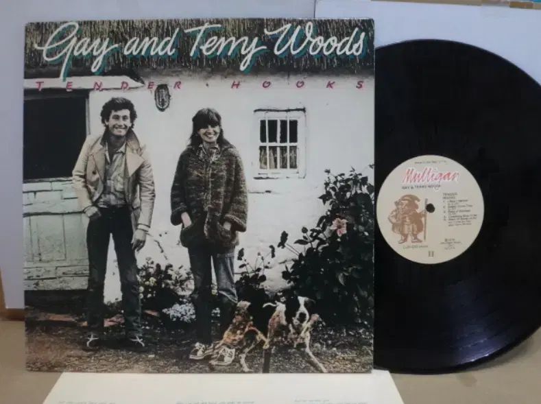 UK LP Gay And Terry Woods ー 1978 年 早い