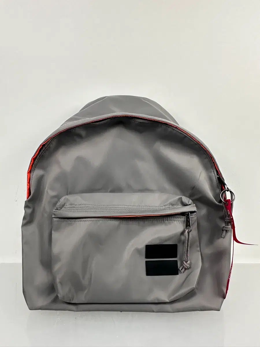 アルファインダストリーズ ユニセックス アルファ X イーストパック ダウン バックパック グレー