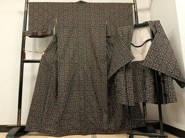 平和屋着物 本場大島紬 龍郷絣 秋名 アンサンブル ロング丈 反端付き 正絹 ph