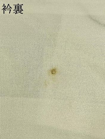  平和屋着物 上質な紬 草葉文 正絹 fy 紬 着物