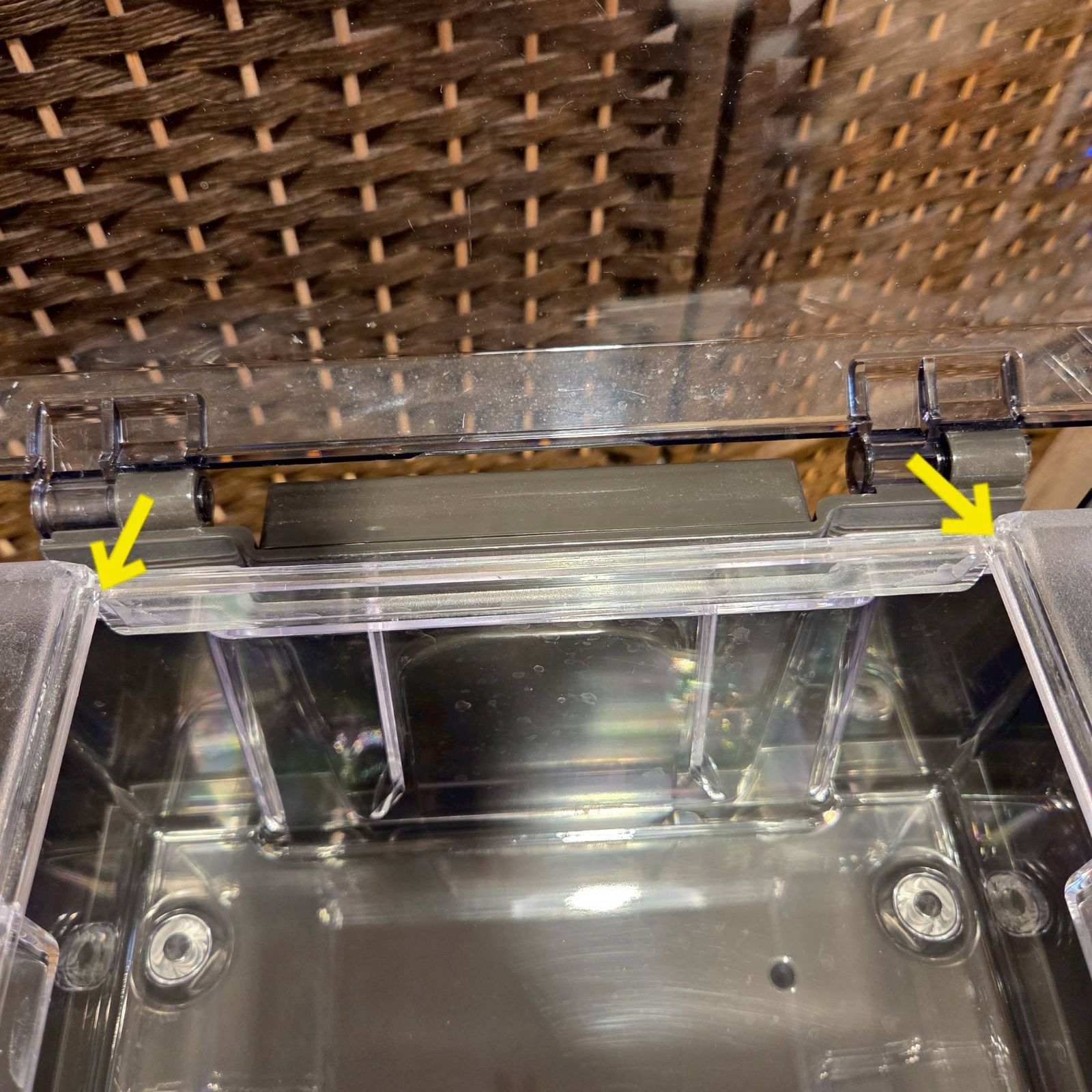 frecious エブリィフレシャス