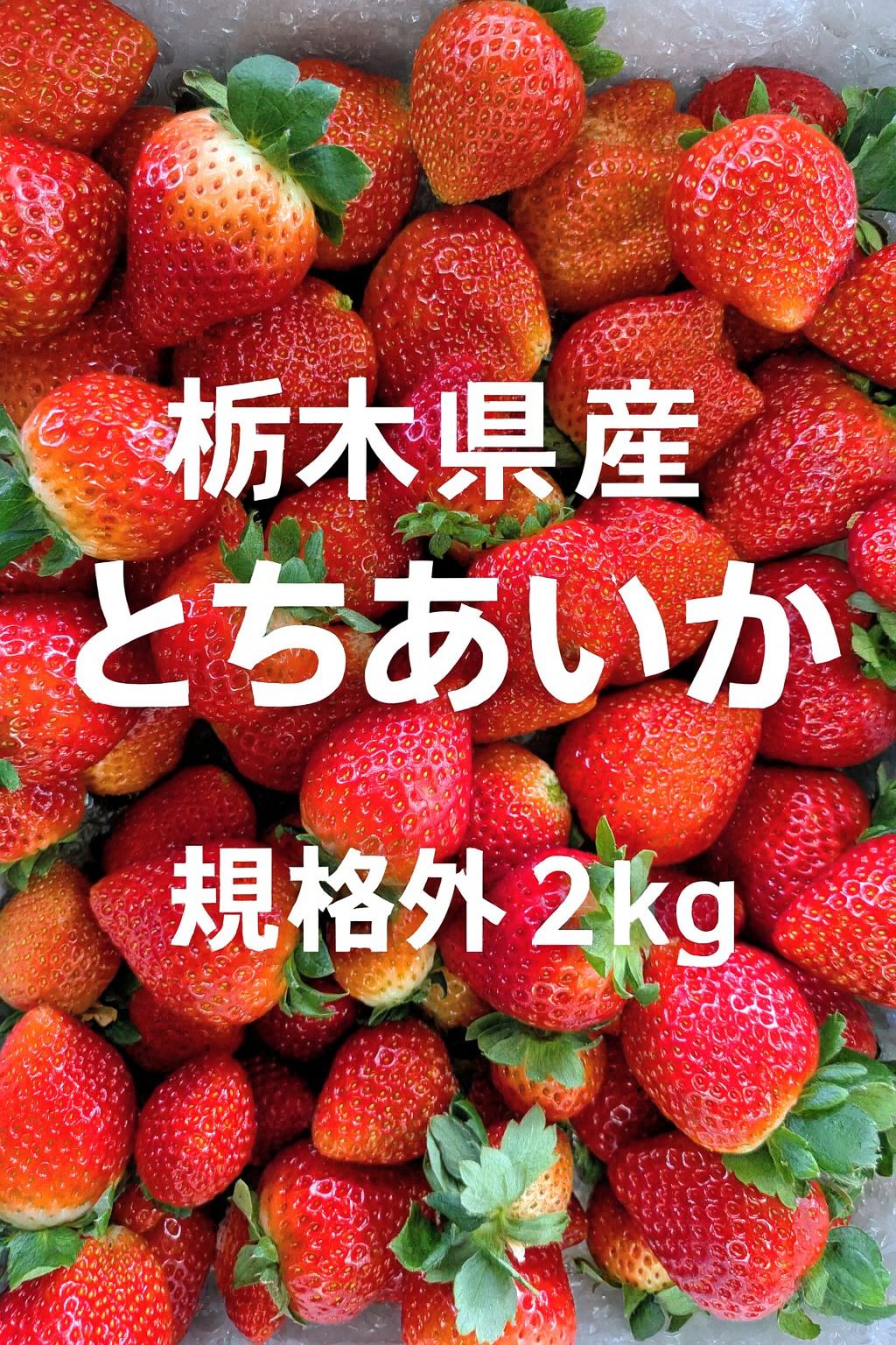 大量約6kg！とちあいか！規格外のため格安！甘くて酸味が少ない品種 