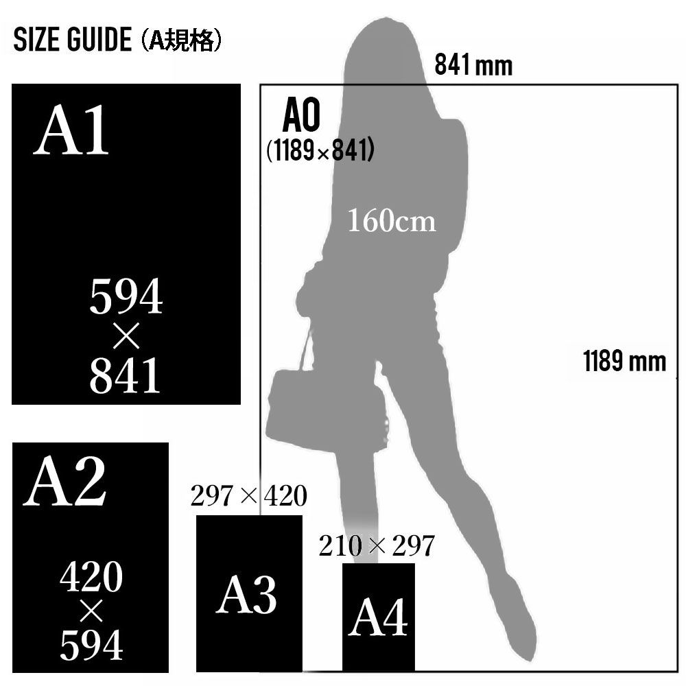 A1サイズ（約59x84cm）】【lm-poster-1773】【フレーム付き】フェザー