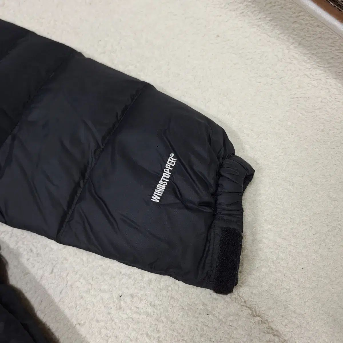 THE NORTH FACE ゴアウィンドストッパー ダウンジャケット ロング丈 95