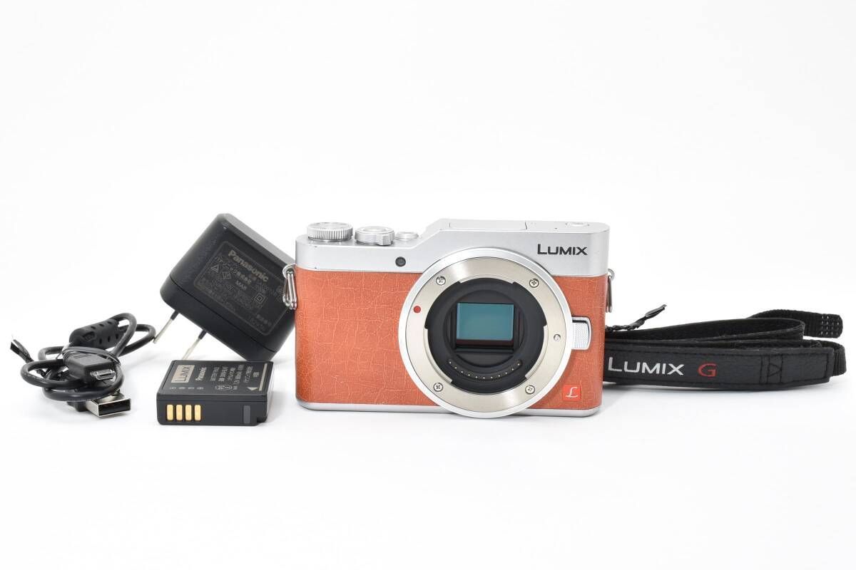 ☆美品☆ パナソニック Panasonic LUMIX DC-GF9 ボディ #876b 【公式通販】