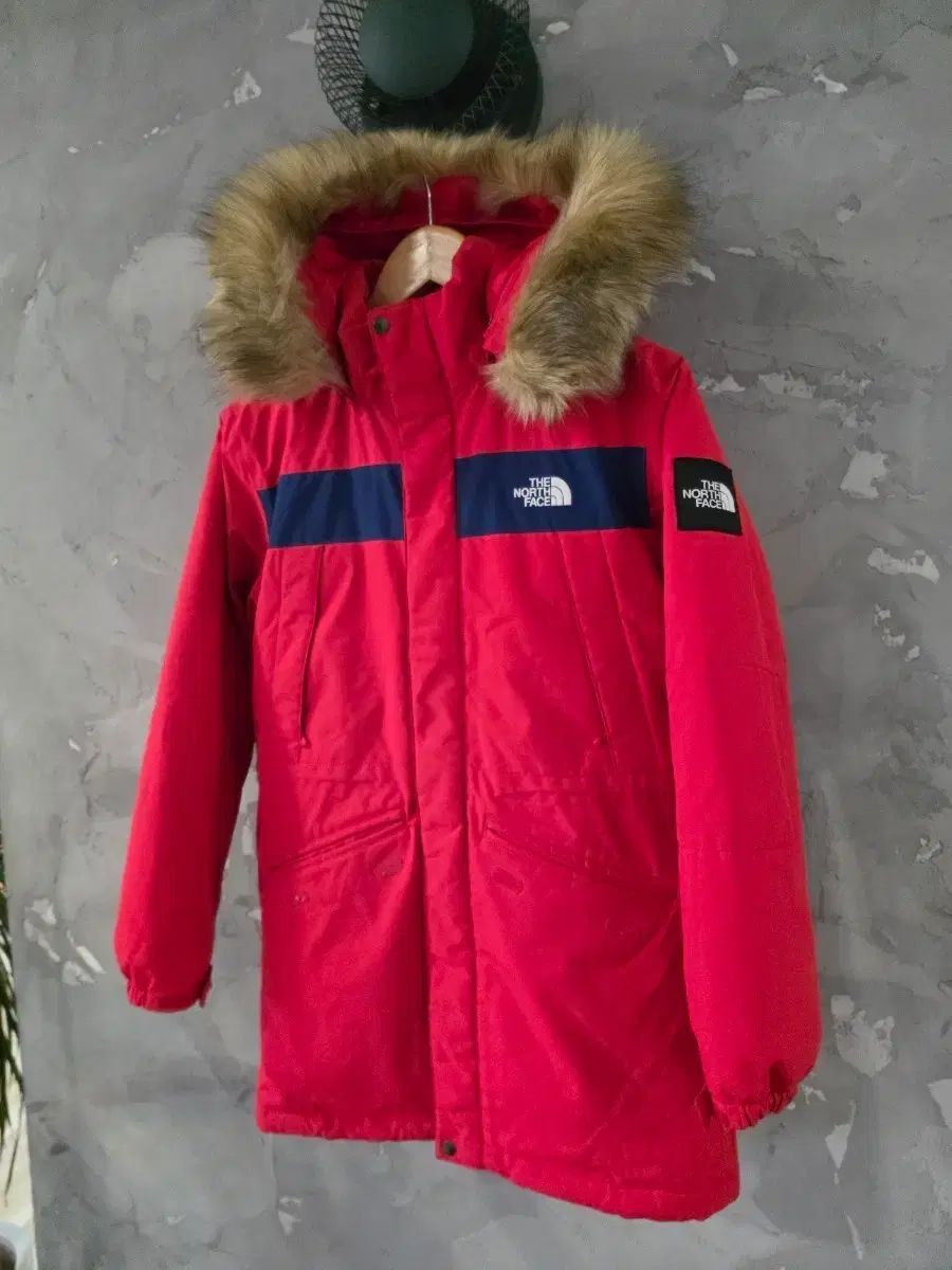 THE NORTH FACE ザノースフェイス キッズ 新モデル ダウン 160 size