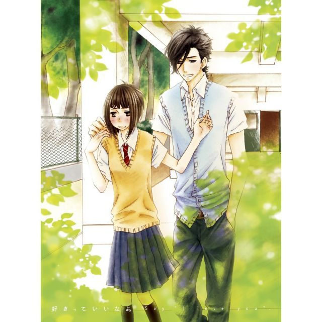 好きっていいなよ 版 全6巻セット マーケットプレイス DVDセット