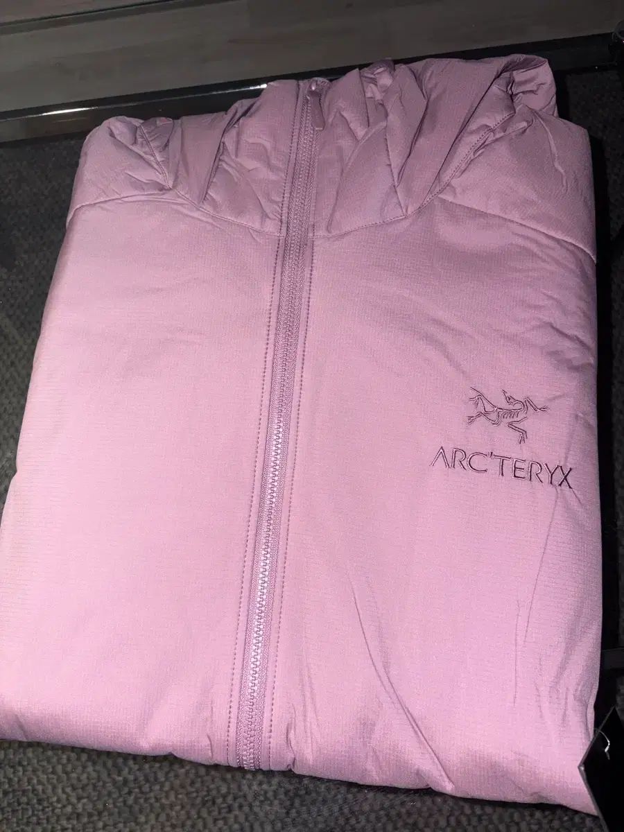 ARC TERYX アークテリクス Atom アトム フーディー Interstellar インターステラ L